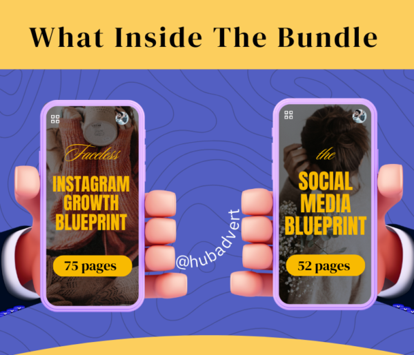 2 best selling instagram growth blueprint bundle course